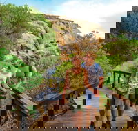 Woody Island Nature Reserve - Palm Beach Accommodation