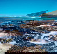 Wyrrabalong National Park - Palm Beach Accommodation