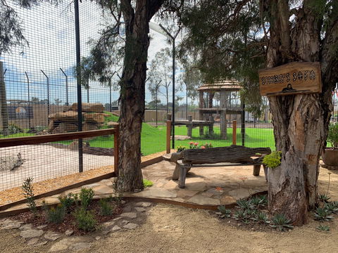 Zambi Wildlife Retreat - Palm Beach Accommodation 1