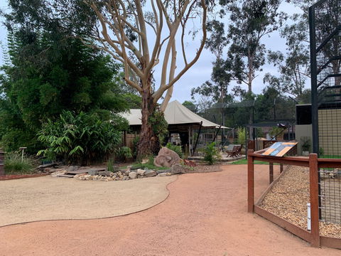 Zambi Wildlife Retreat - Palm Beach Accommodation 2