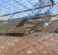 Aboriginal Carvings - Palm Beach Accommodation