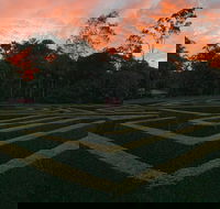 Bellingham Maze - Palm Beach Accommodation