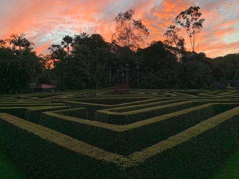 Bellingham Maze - Palm Beach Accommodation 0