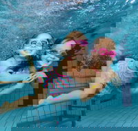 Blacktown Aquatic Centre - Palm Beach Accommodation