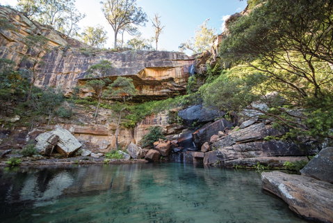 Blackdown Tableland National Park - Palm Beach Accommodation 1