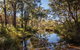Blackdown Tableland National Park - thumb 2