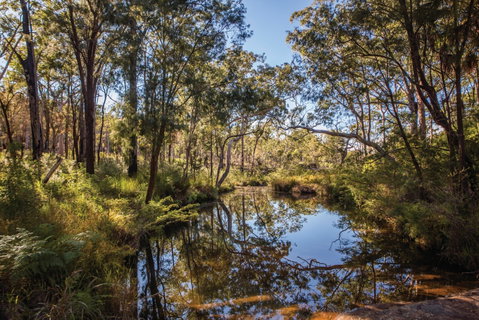 Blackdown Tableland National Park - Palm Beach Accommodation 2