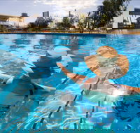 Boulia Sports and Aquatic Centre - Palm Beach Accommodation