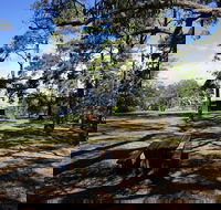 Bowen Mountain Park - Palm Beach Accommodation