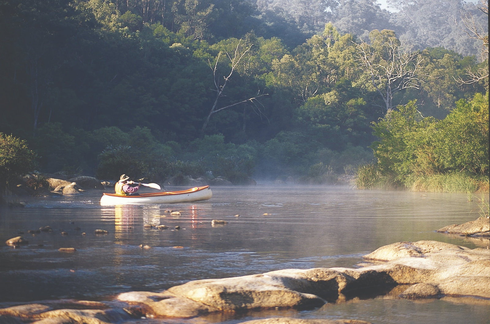 Coopers Gully NSW Palm Beach Accommodation