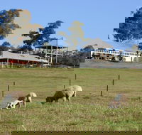 Calmsley Hill City Farm - Palm Beach Accommodation
