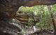 Cave Creek Walking Track - thumb 0