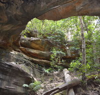 Cave Creek Walking Track - Palm Beach Accommodation