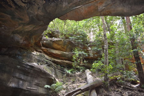 Cave Creek Walking Track - Palm Beach Accommodation 0