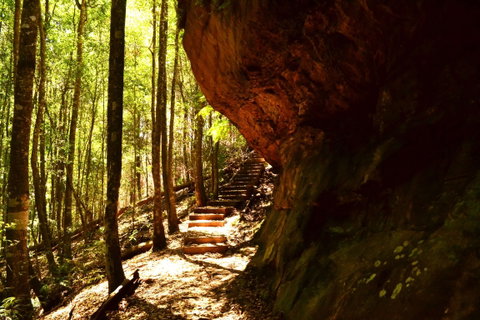 Cave Creek Walking Track - Palm Beach Accommodation 1