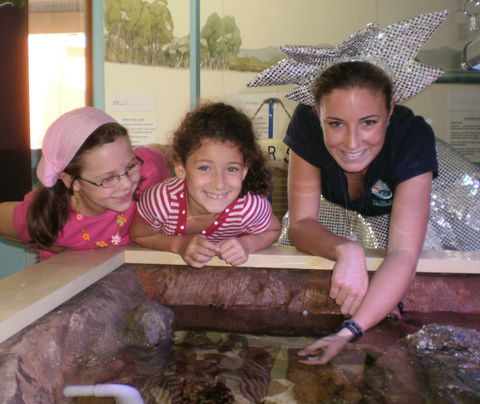Central Coast Marine Discovery Centre - Palm Beach Accommodation 0