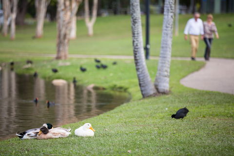 Centenary Lakes Park - Palm Beach Accommodation 2