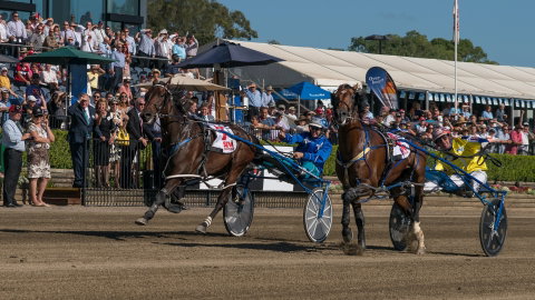 Club Menangle - Palm Beach Accommodation 2