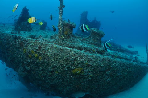Curtin Artificial Reef Dive Site - Palm Beach Accommodation 1