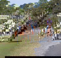 Dayboro - Palm Beach Accommodation