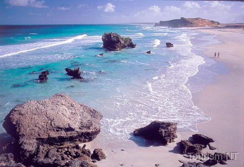 Dhimurru Recreational Area - Palm Beach Accommodation 0