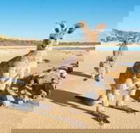 Diamond Head Beach - Palm Beach Accommodation