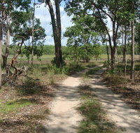 Djukbinj National Park - Palm Beach Accommodation