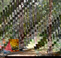 Dwellingup - Palm Beach Accommodation