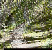 Euglah Rock Walking Track - Palm Beach Accommodation
