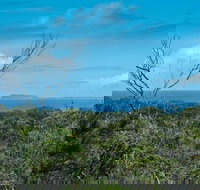 Forest Walking Track Crowdy Bay National Park - Palm Beach Accommodation