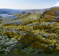 Gold Coast Hinterland Great Walk - Palm Beach Accommodation