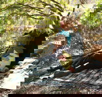 Haig Street Quarry Bushland Reserve Trails - Palm Beach Accommodation