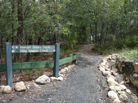 Haig Street Quarry Bushland Reserve Trails - Palm Beach Accommodation 1