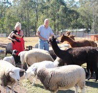 Haigslea EWE Nique Hobby Farm - Palm Beach Accommodation