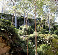 Haunted Point Loop Walk - Palm Beach Accommodation