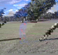 Inverell Golf Club - Palm Beach Accommodation