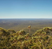 Jerrawangala National Park - Palm Beach Accommodation