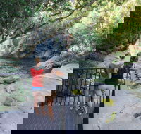 Josephine Falls walking track Wooroonooran National Park - Palm Beach Accommodation