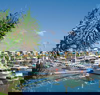 Keppel Bay Fishing Adventure - Palm Beach Accommodation