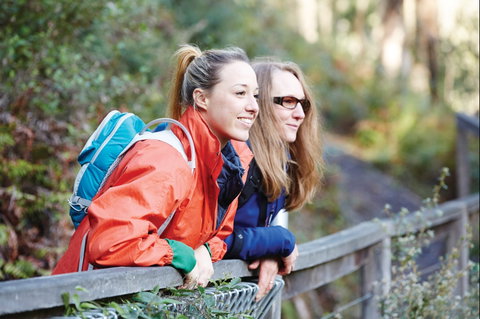 Kinglake National Park - Palm Beach Accommodation 2