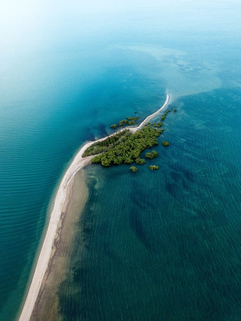 King Island Walk - Palm Beach Accommodation 1