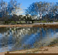 Lake King Wetlands at Rutherglen - Palm Beach Accommodation