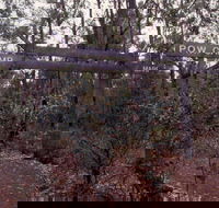 Marrinup Trail Dwellingup - Palm Beach Accommodation