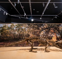 Megafauna Central - Palm Beach Accommodation