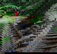 Montezuma Falls - Palm Beach Accommodation