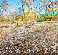Mt Glenrowan Lookout Walk - Palm Beach Accommodation