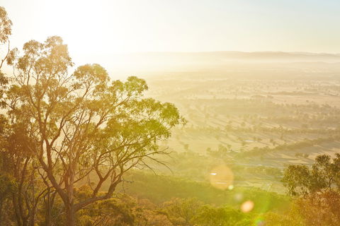 Mt Glenrowan Lookout Walk - Palm Beach Accommodation 1