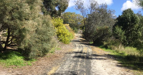 Naracoorte North Nature Park - Palm Beach Accommodation 0