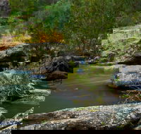 Onkaparinga River National Park - Palm Beach Accommodation