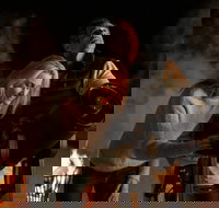 Outback Astronomy - Palm Beach Accommodation